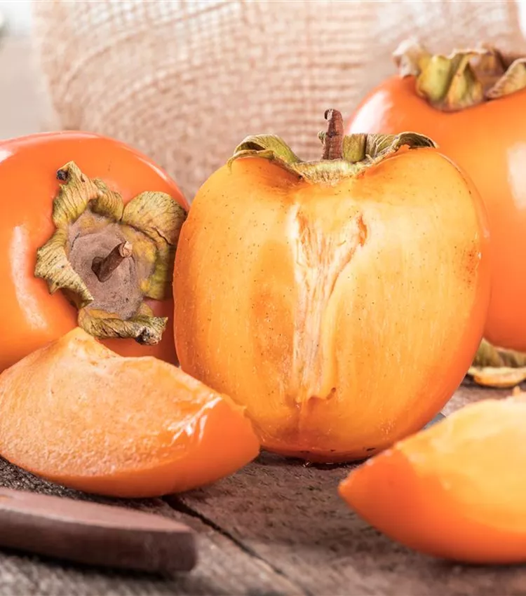 Scharonfrucht