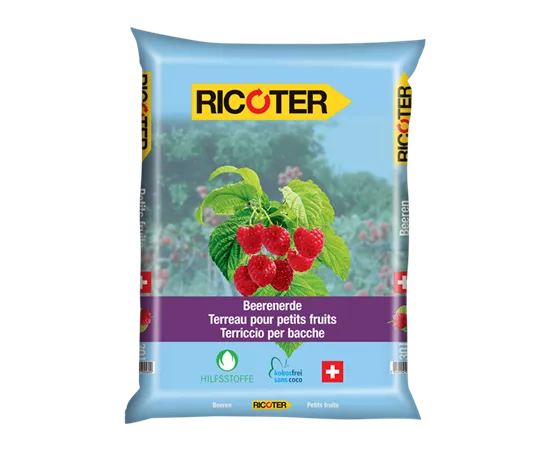 Terreau pour petits fruits
