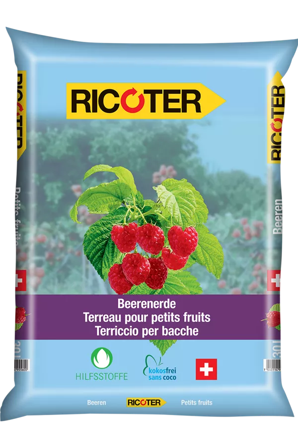 Terreau pour petits fruits