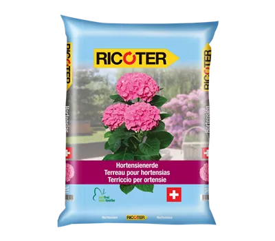 Terreau pour hortensias