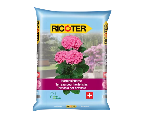 Terreau pour hortensias