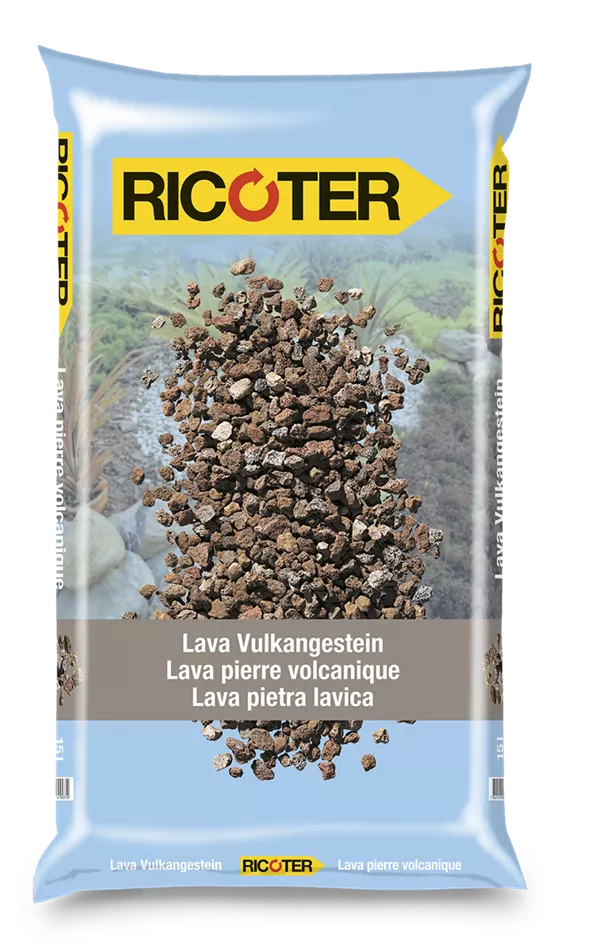 Lava Lava