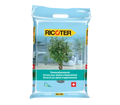 Terreau pour plantes d'appartement