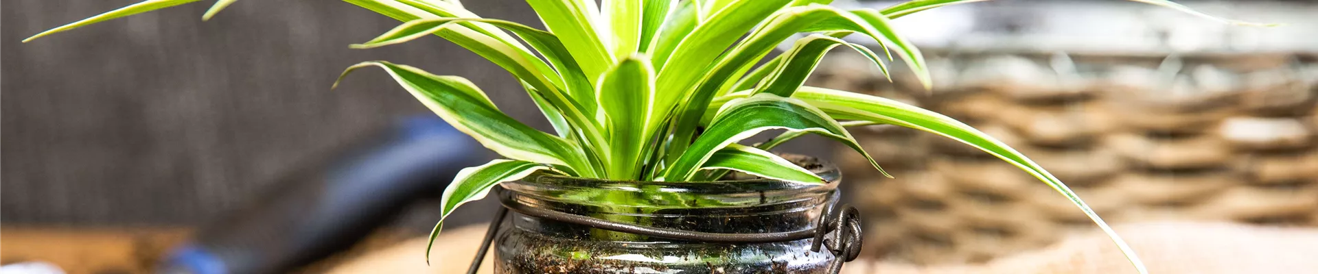 GS676231-790-0-5015-3343.jpg GS676231-790-0-5015-3343.jpg