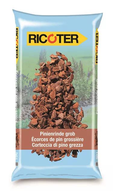 Pinienrinde grob