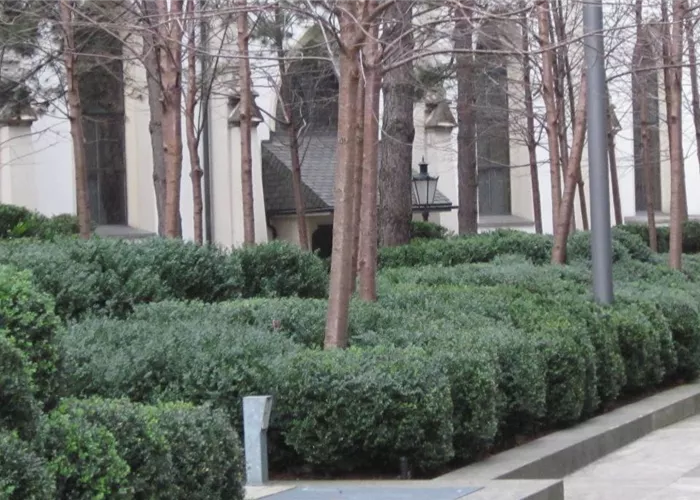 Photos de référence Photos de référence