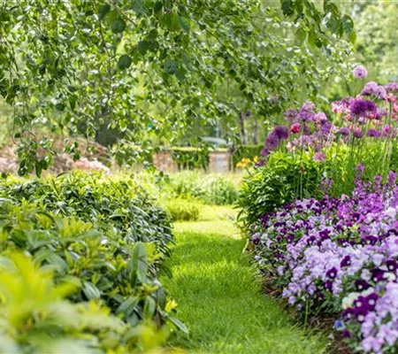 Jetzt ist die beste Zeit, um die Gartengestaltung zu planen
