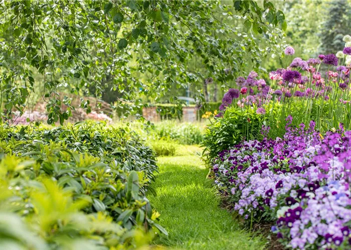 Jetzt ist die beste Zeit, um die Gartengestaltung zu planen