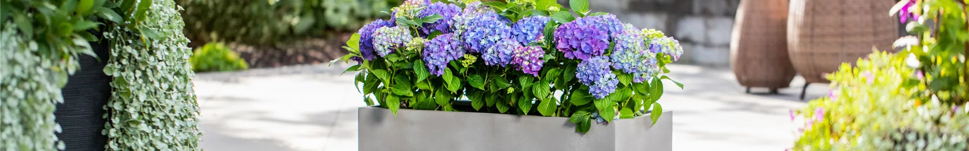 GS706088-0-1372-6666-1428.jpg GS706088-0-1372-6666-1428.jpg