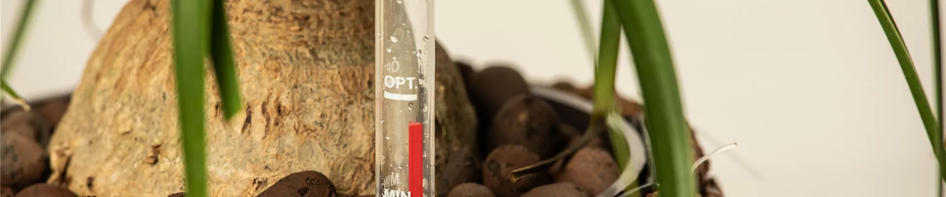 GS644850-0-0-6129-4086.jpg GS644850-0-0-6129-4086.jpg