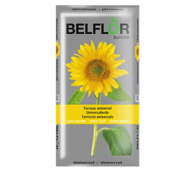 Belflor terreau universel