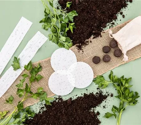 L'attente est enfin terminée : à partir de février, les semis peuvent commencer !