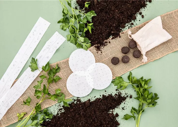 Das Warten hat ein Ende – ab Februar ist Zeit für die Aussaat!