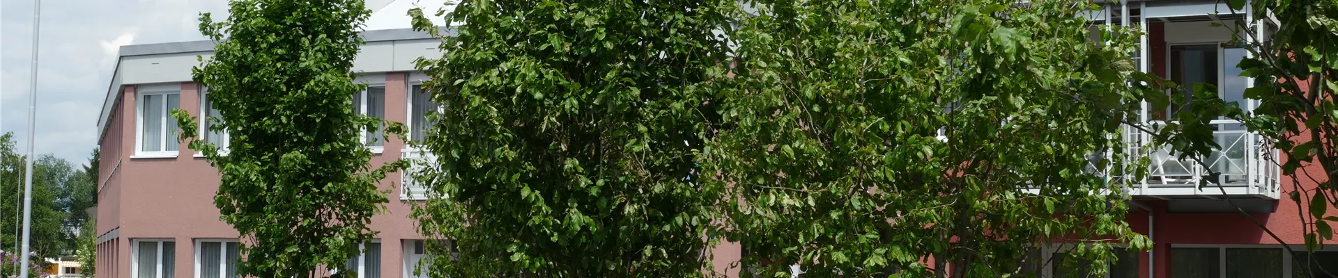 P1000916.JPG P1000916.JPG