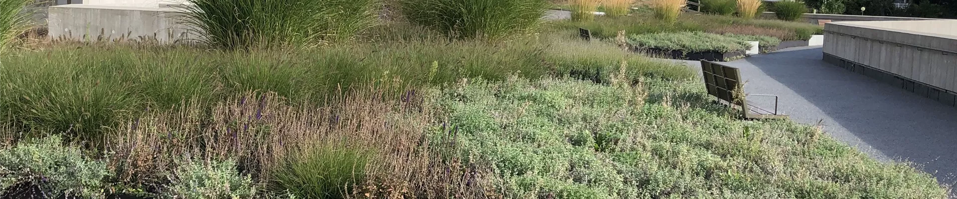 IMG_5560-587-652-3346-1882.jpg IMG_5560-587-652-3346-1882.jpg