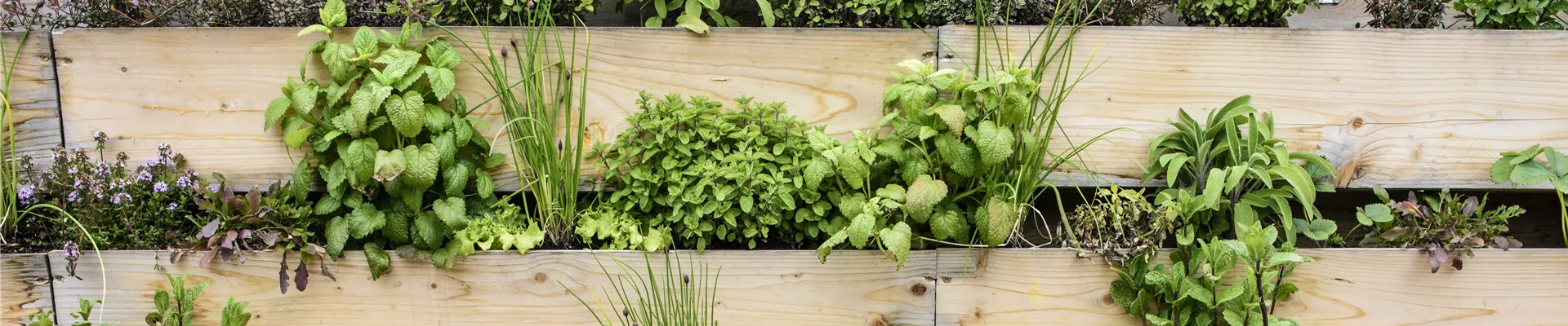 iStock-678775060-0-405-7359-1577.jpg iStock-678775060-0-405-7359-1577.jpg