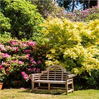 Haus & Hobby Garten Haus & Hobby Garten