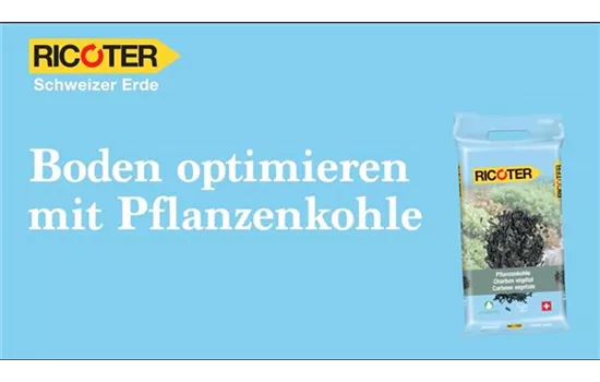 Optimiser le sol avec du charbon végétal Optimiser le sol avec du charbon végétal