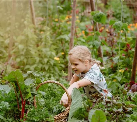 Un jardin pour les petits et les grands gourmands