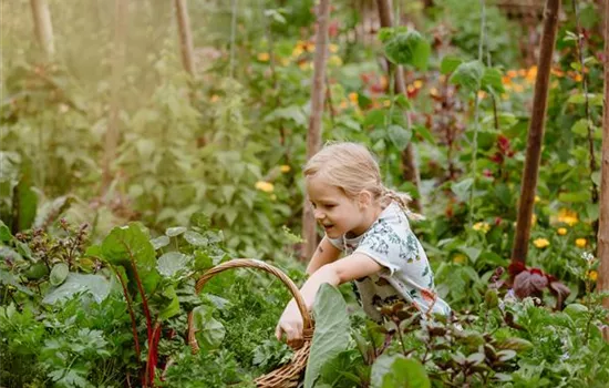 Ein Naschgarten für kleine Naschkatzen und grosse Naschbären