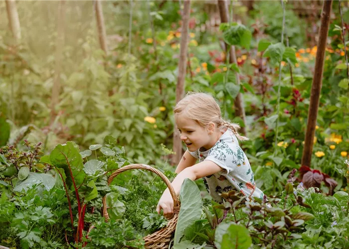Un jardin pour les petits et les grands gourmands