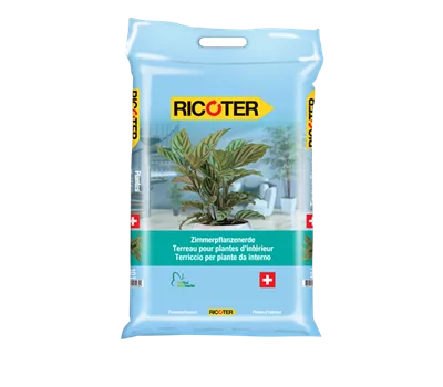 Terreau pour plantes d'appartement