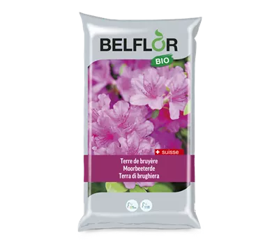 Belflor terre de bruyère