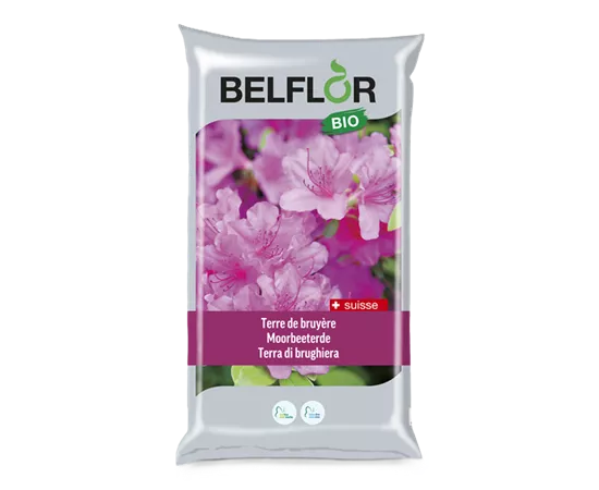 Belflor terre de bruyère