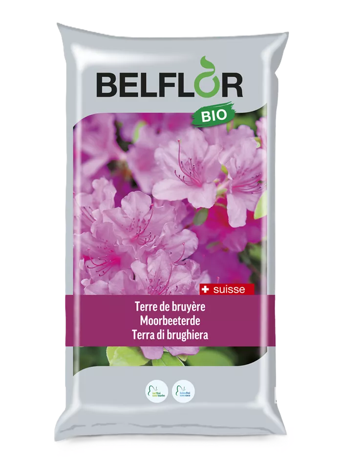 Belflor terre de bruyère