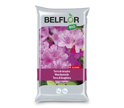 Belflor terre de bruyère