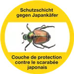 Japankäfer