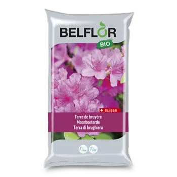 Belflor Moorbeeterde