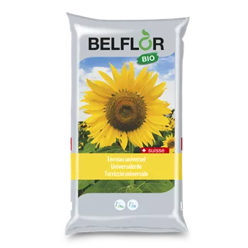 Belflor Universalerde
