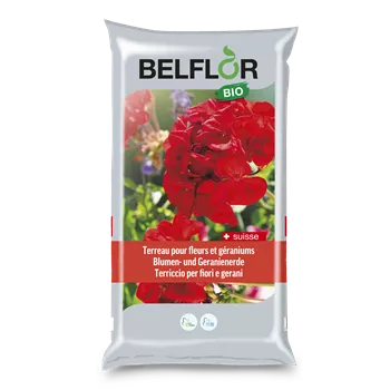 Belflor Blumen- und Geranienerde