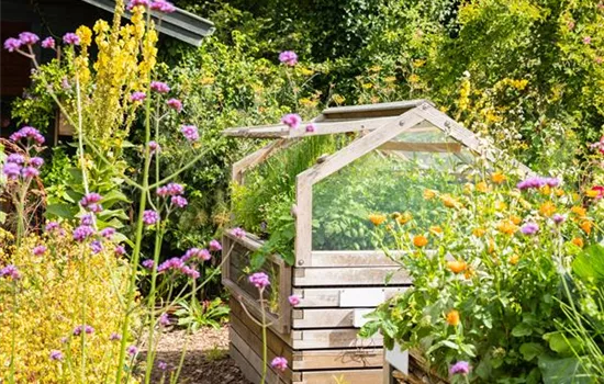 365 Tage Ernte im Hochbeet – ganz einfach, schnell und bequem