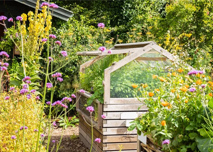 365 Tage Ernte im Hochbeet – ganz einfach, schnell und bequem