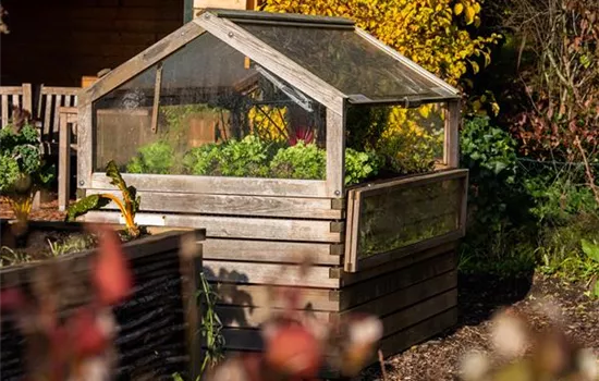 Ein Hoch auf das Hochbeet – vertikales Gärtnern leicht gemacht