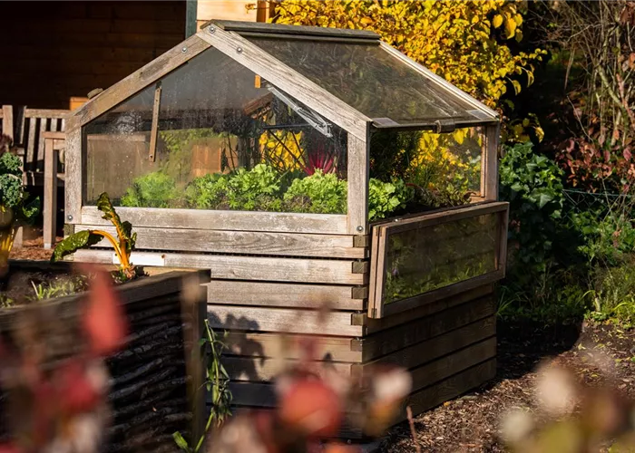 La plate-bande surélevée ou le jardinage vertical en toute simplicité