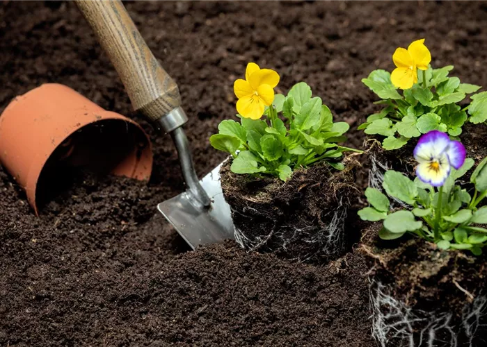 Le moment est venu d'améliorer et de protéger le sol du jardin
