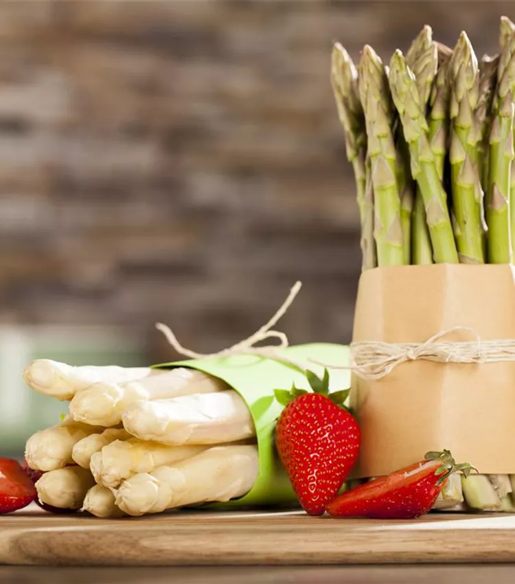 Asperge officinale Asperge officinale