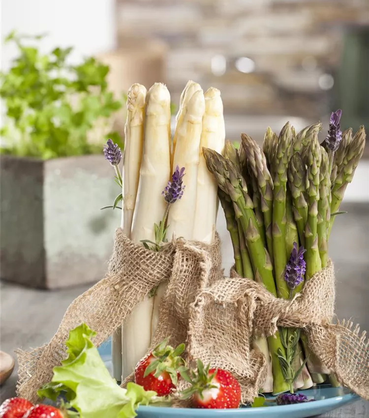 Asperge officinale Asperge officinale