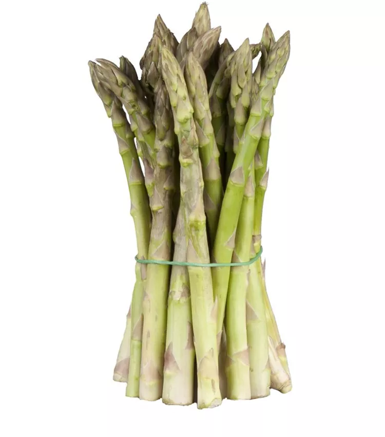 Asperge officinale Asperge officinale