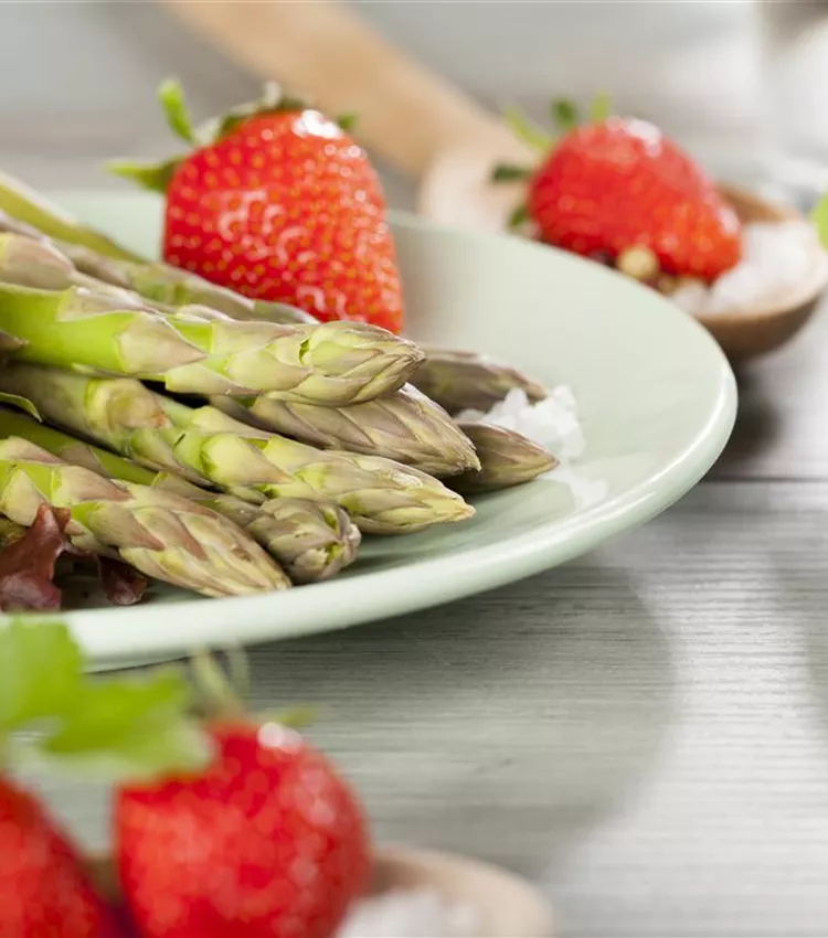 Asperge officinale Asperge officinale