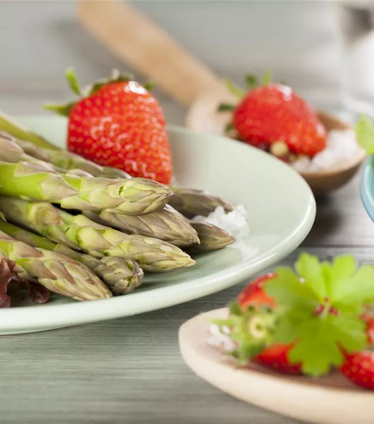 Asperge officinale Asperge officinale