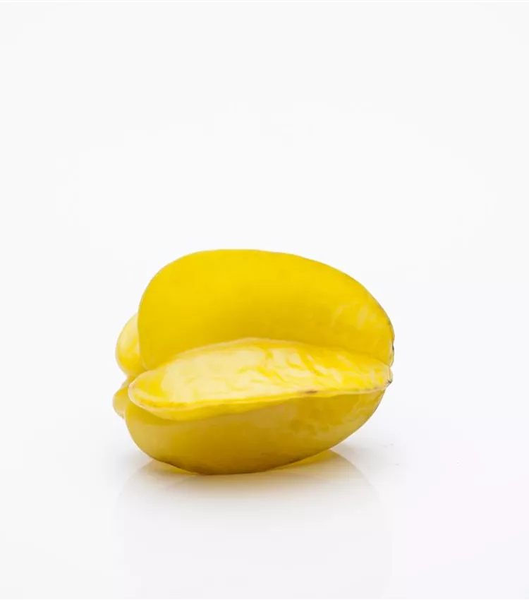 Sternfrucht