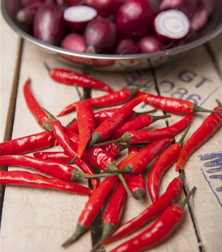 Piment de Cayenne