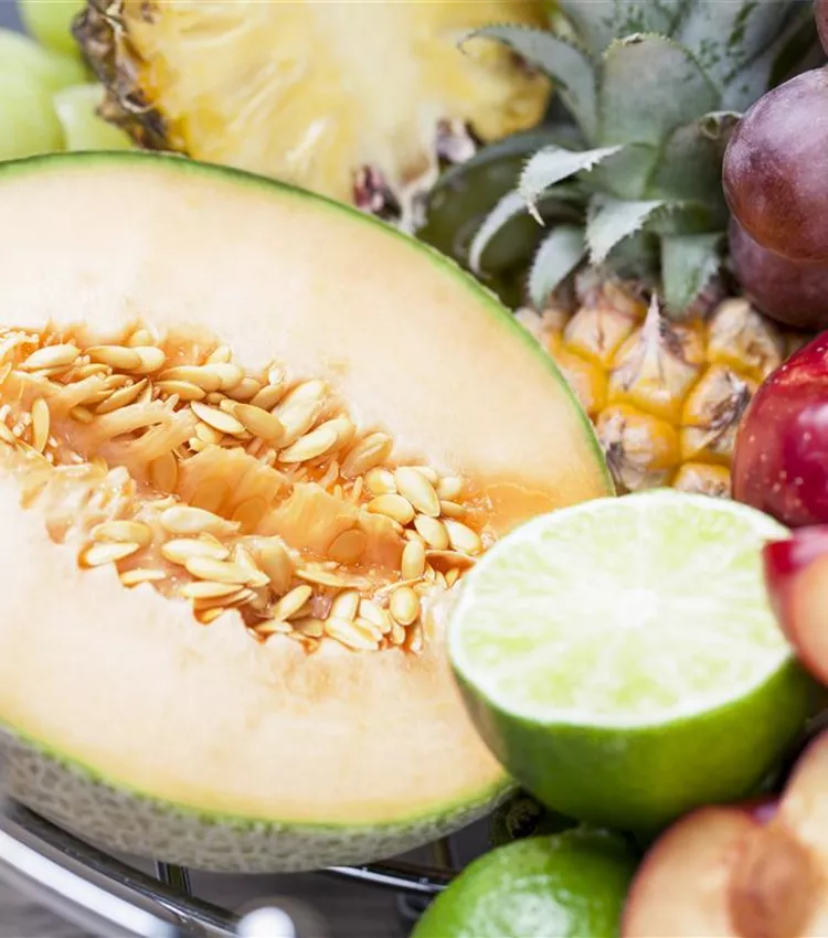 Zuckermelone Zuckermelone