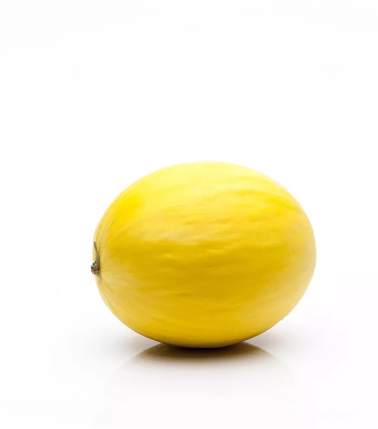 Zuckermelone Zuckermelone